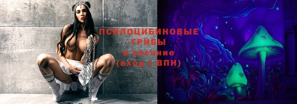 тгк Аркадак