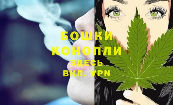меф Арсеньев