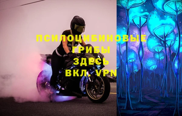 меф Арсеньев