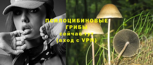 меф Арсеньев